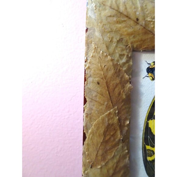 Vintage Art Print of Cicadas in Frame with Real Leaves goth witchy nature insect - Picture 10 of 10